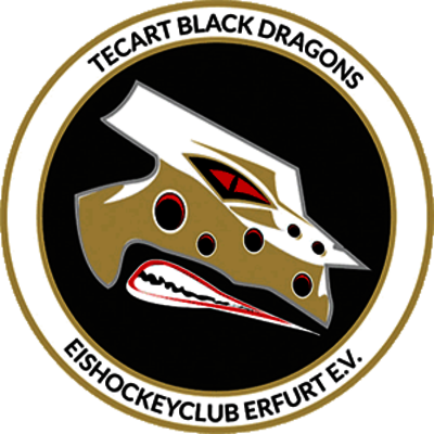 TecArt Black Dragons Erfurt Logo TecArt Black Dragons Erfurt